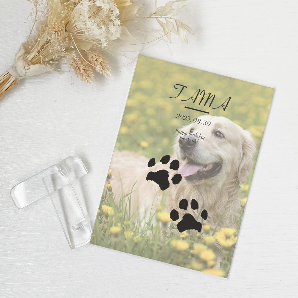 ペット 肉球デザイン アクリルプレート アクリルパネル 犬 猫 #A50-1