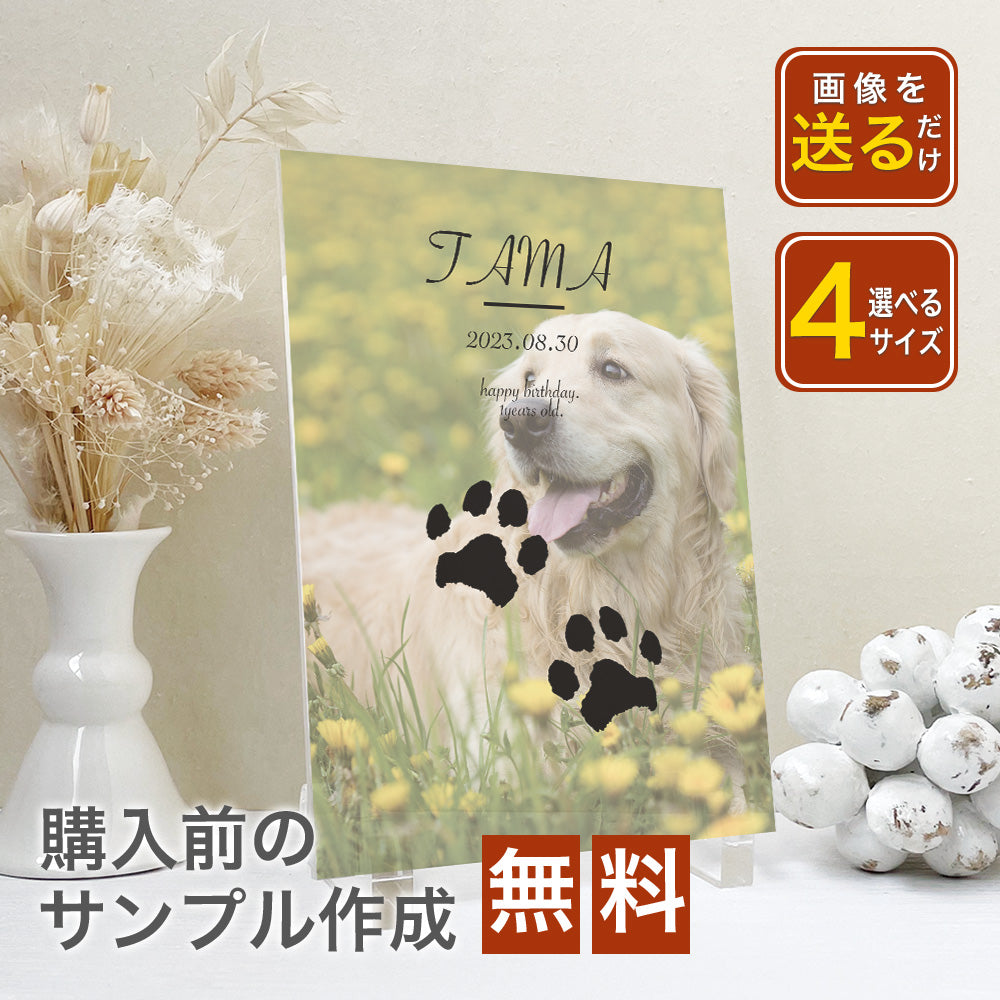 ペット 肉球デザイン アクリルプレート アクリルパネル 犬 猫 #A50-1