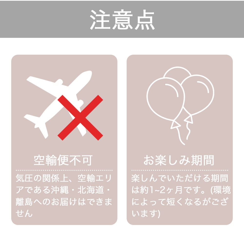 成人式フラワーバルーンブーケ #BA002