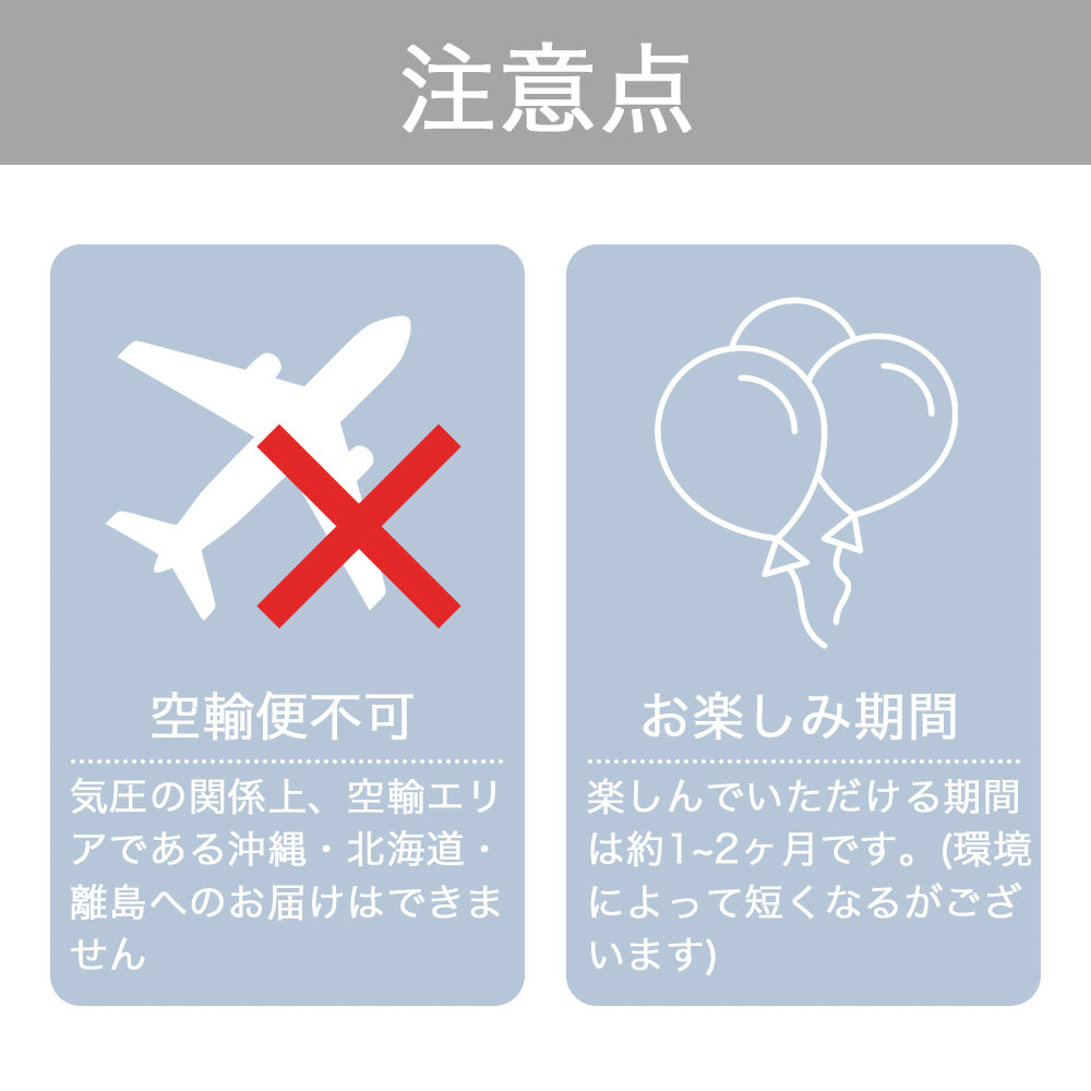 卒業バルーン #BA004