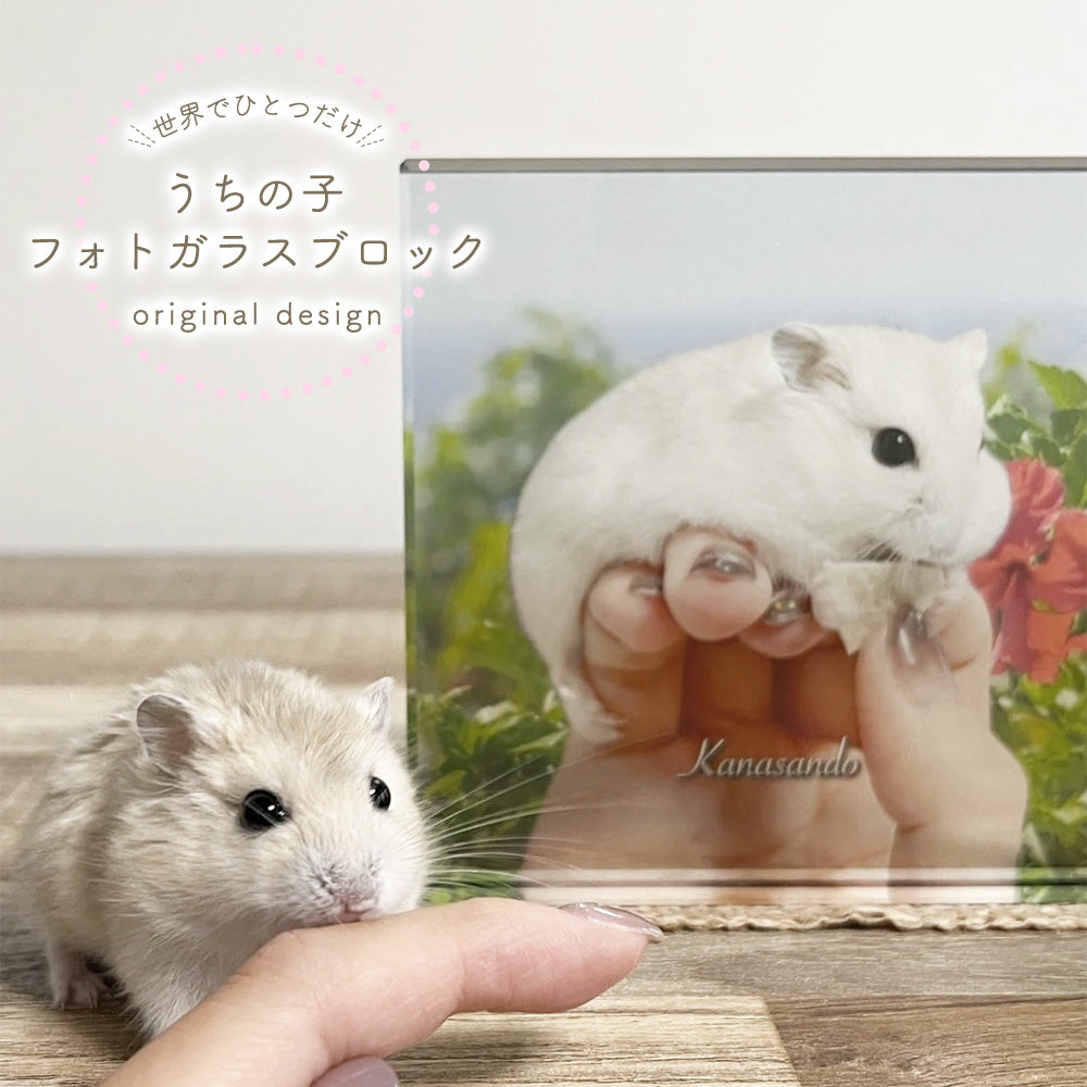 ガラスブロック #C01-4