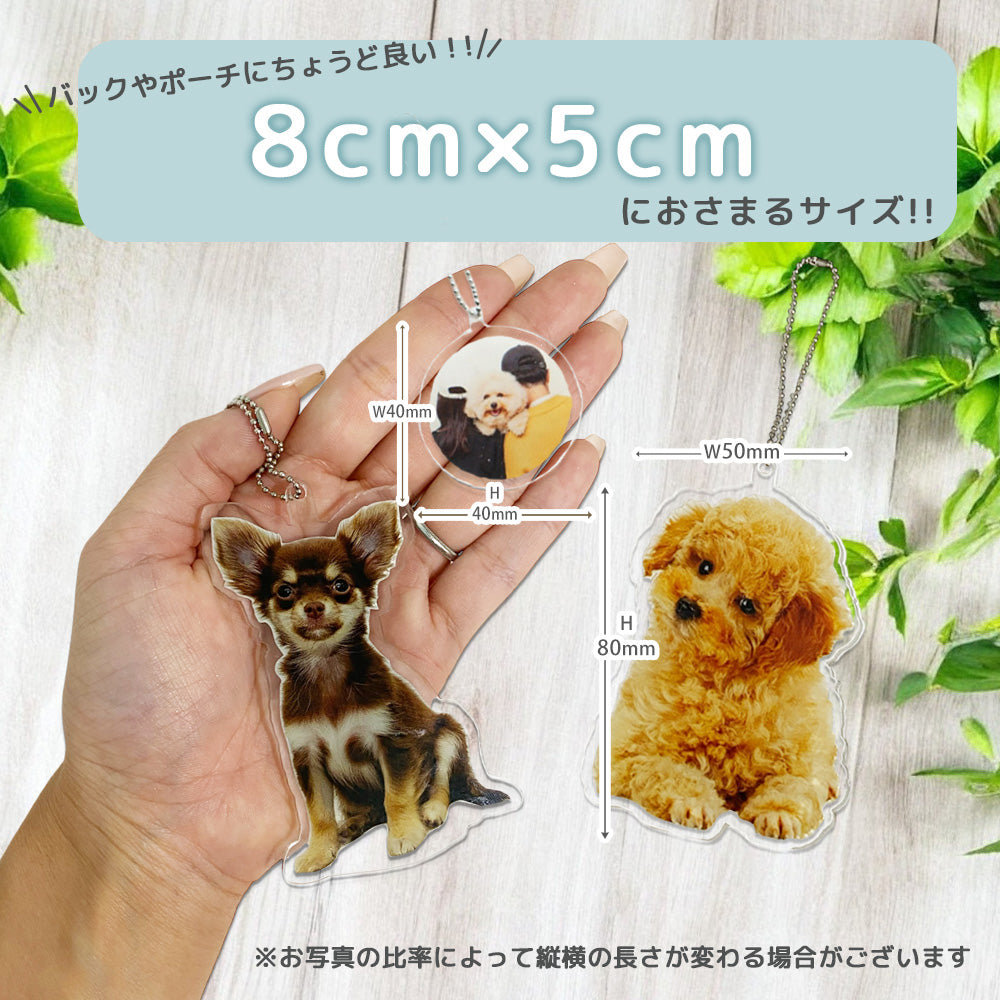 アクリルキーホルダー #P10-1