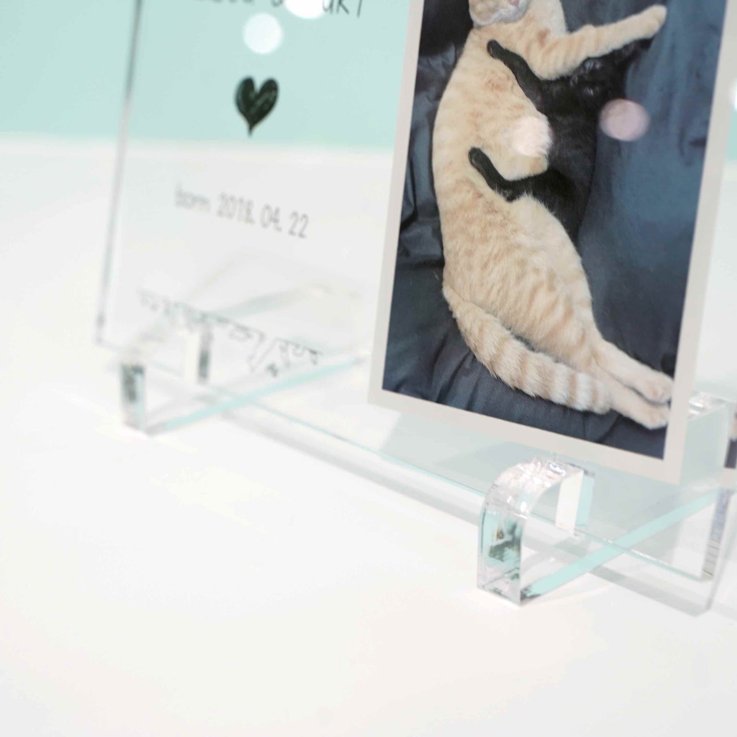 アクリルパネル ペットフォト #A12