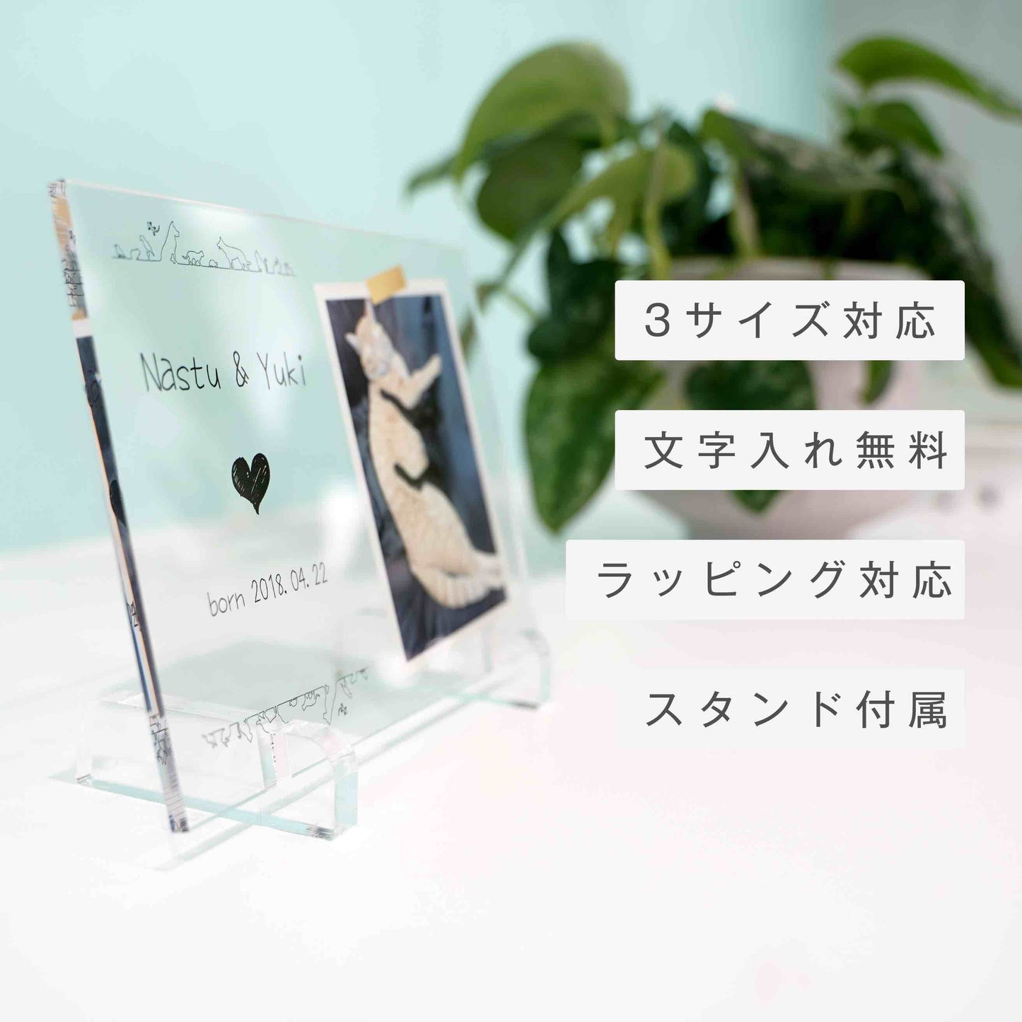 アクリルパネル ペットフォト #A12