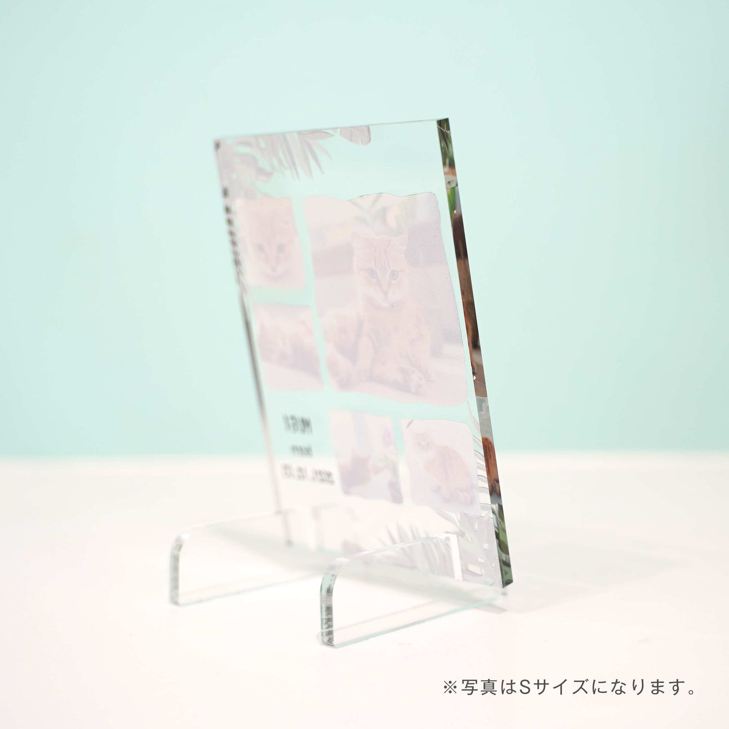 アクリルパネル ペットフォト #A14