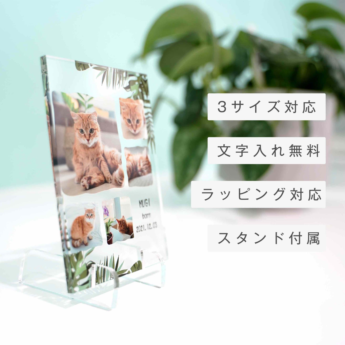 アクリルパネル ペットフォト #A14