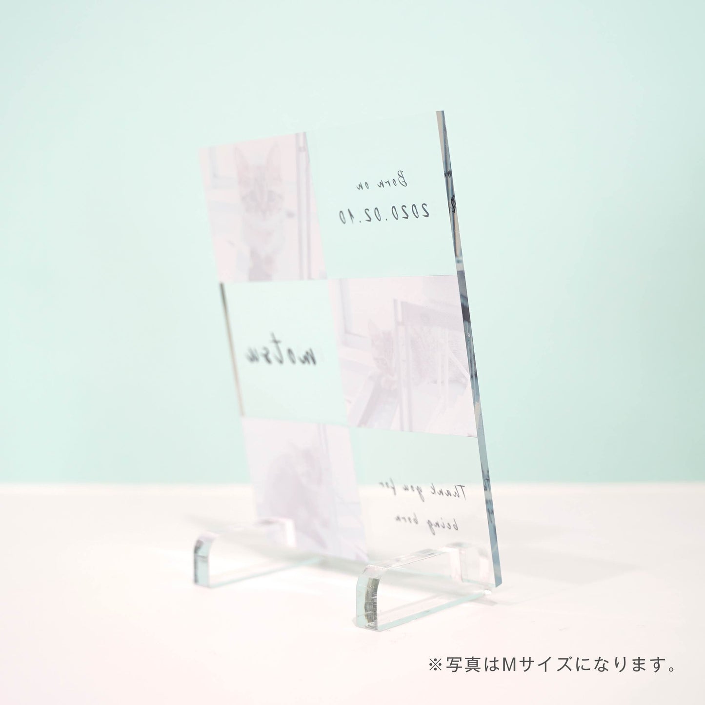 アクリルパネル ペットフォト #A15