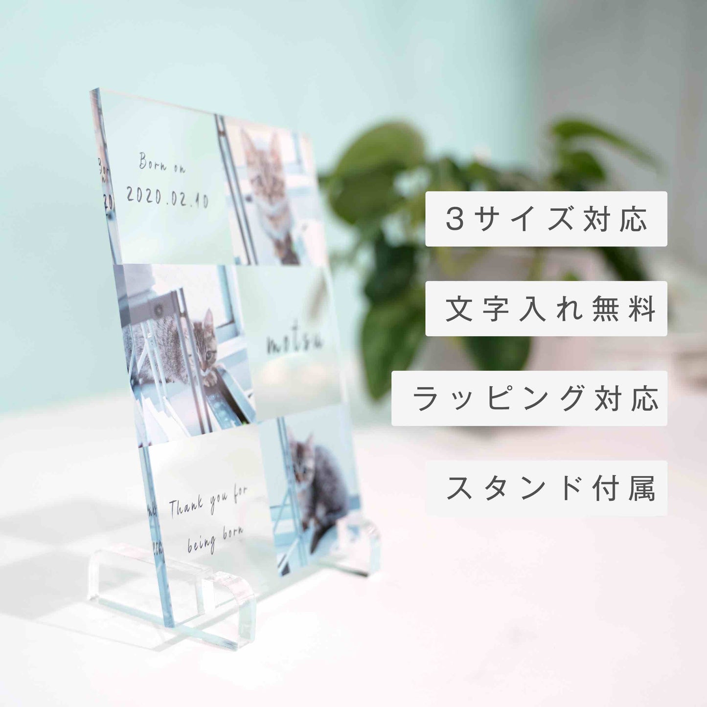 アクリルパネル ペットフォト #A15