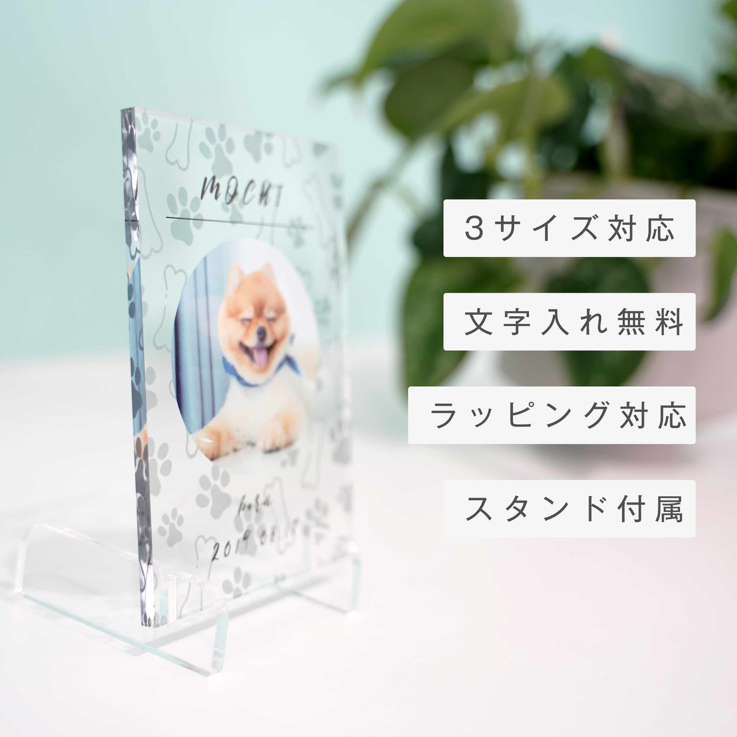 アクリルパネル ペットフォト #A16