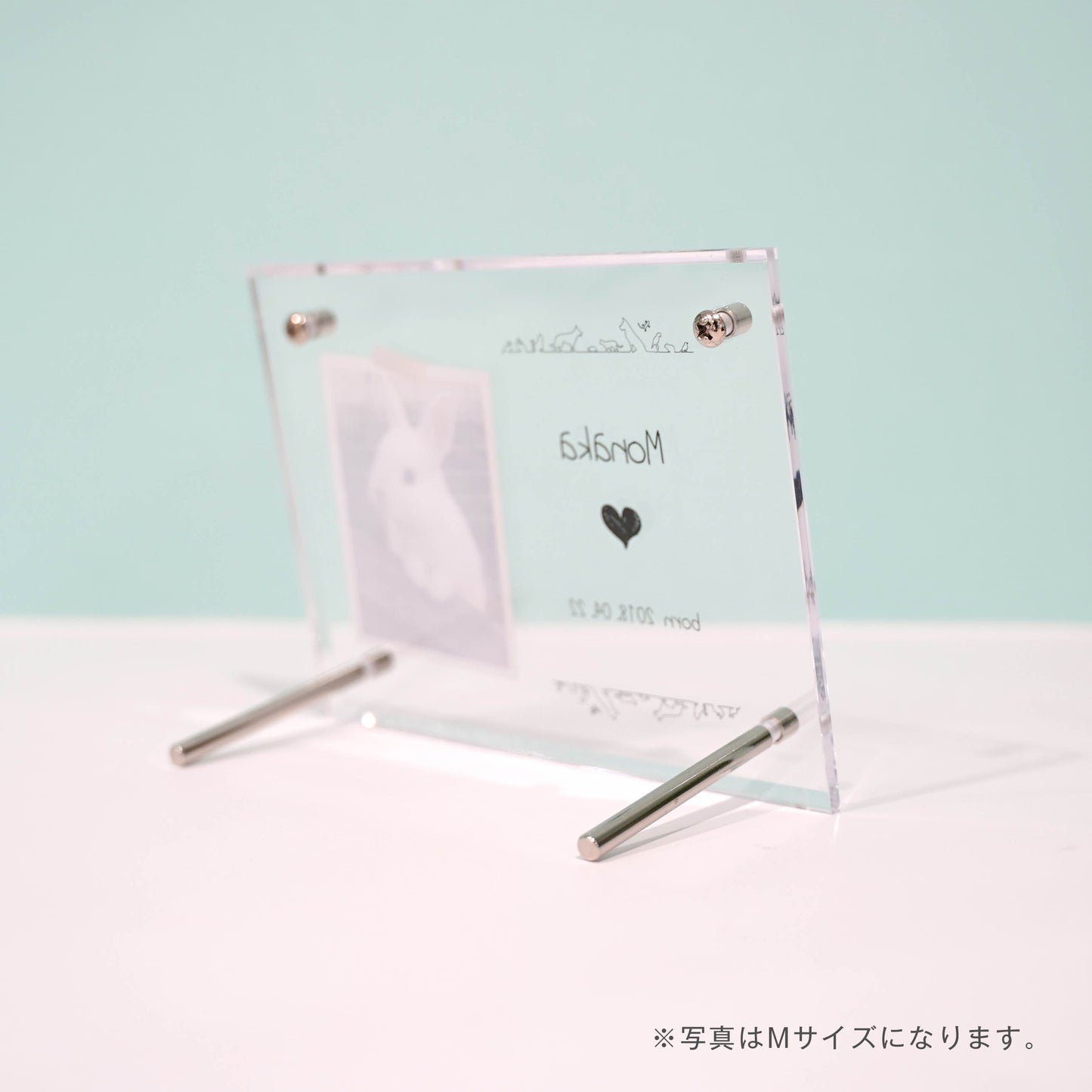 アクリルボード ペットフォト #B12