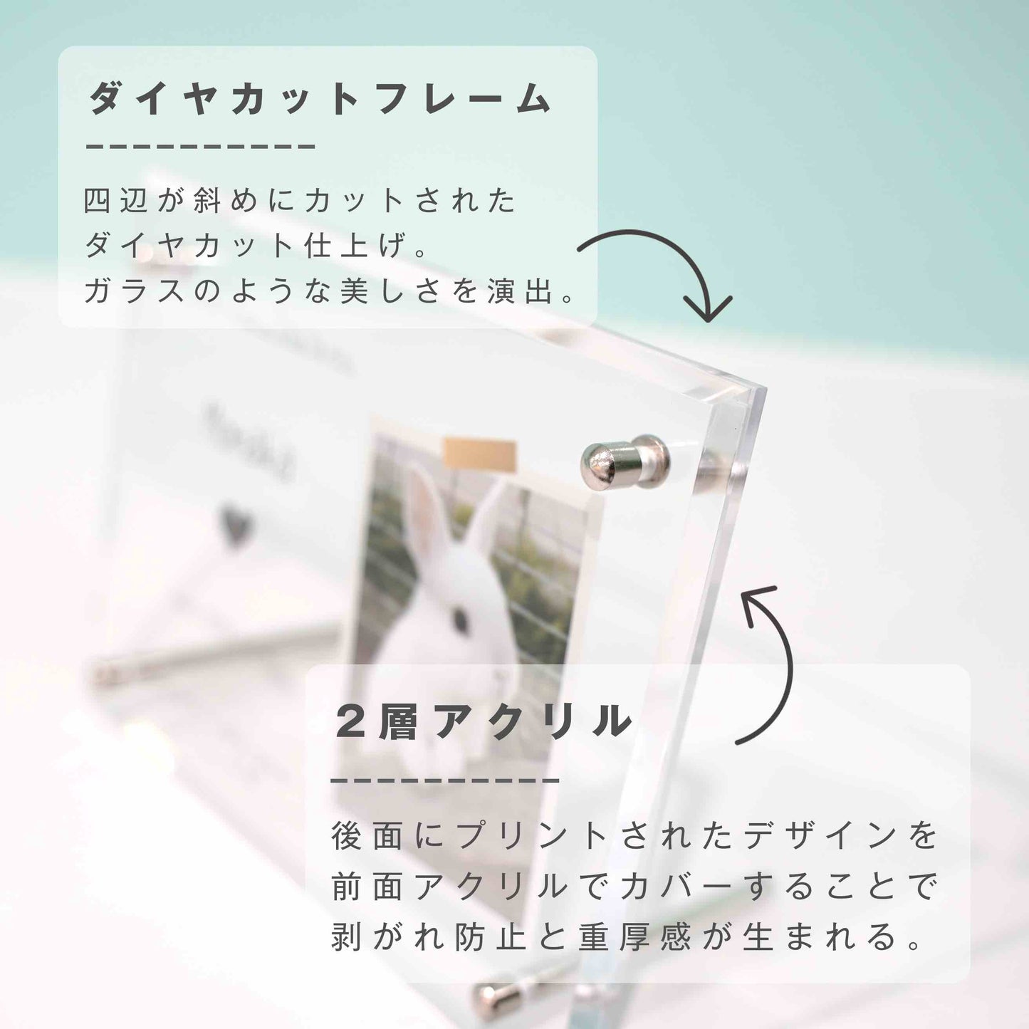 アクリルボード ペットフォト #B12