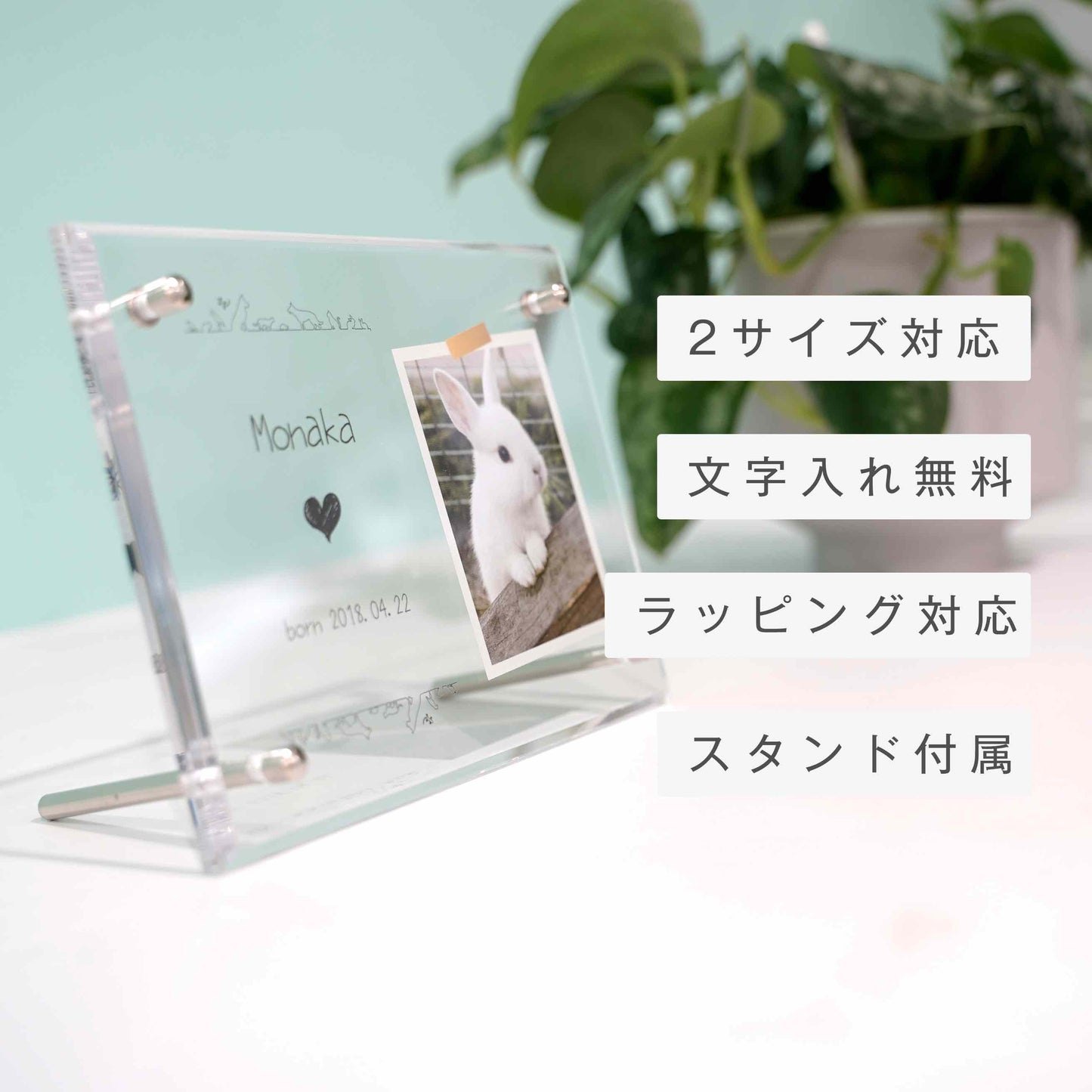 アクリルボード ペットフォト #B12