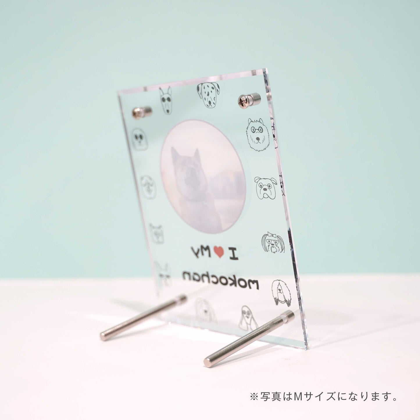アクリルボード ペットフォト #B13