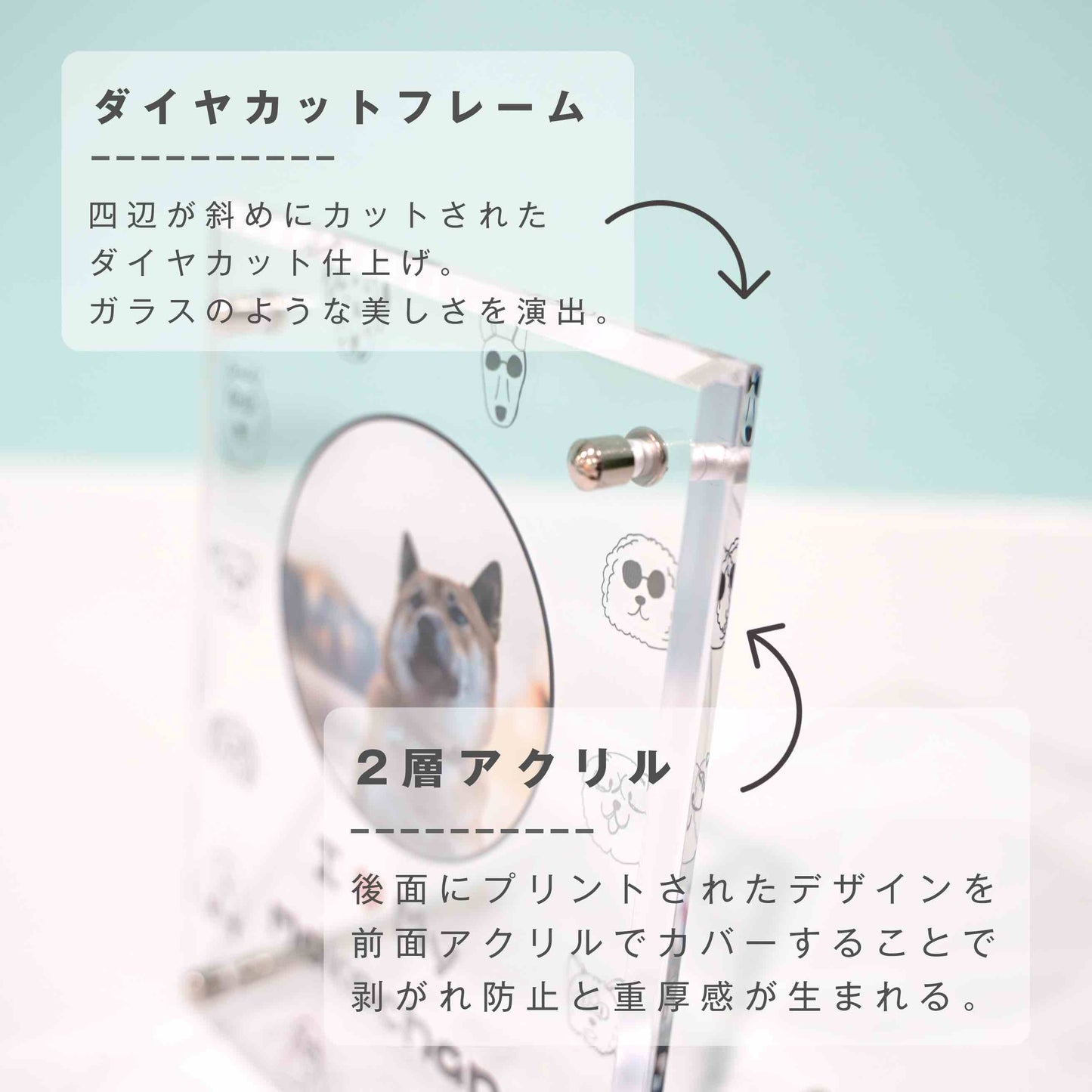 アクリルボード ペットフォト #B13