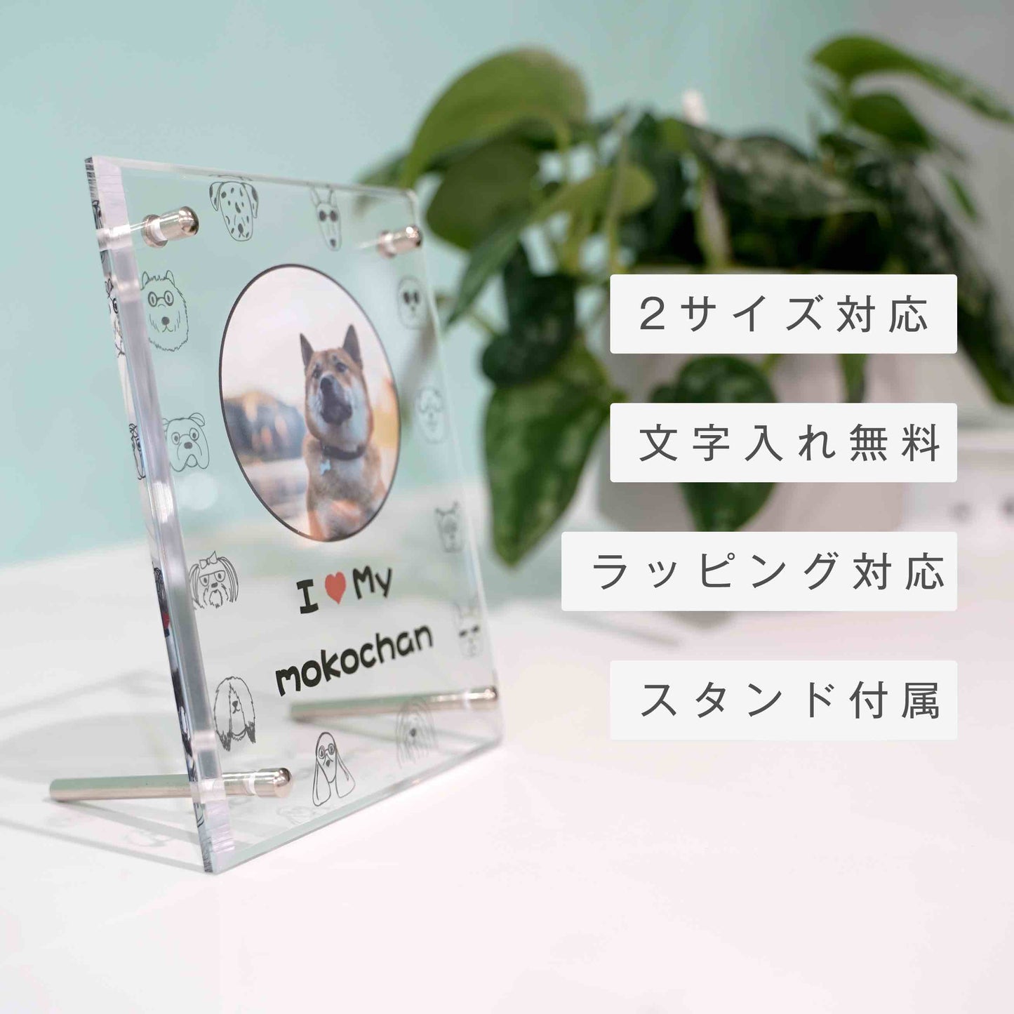 アクリルボード ペットフォト #B13