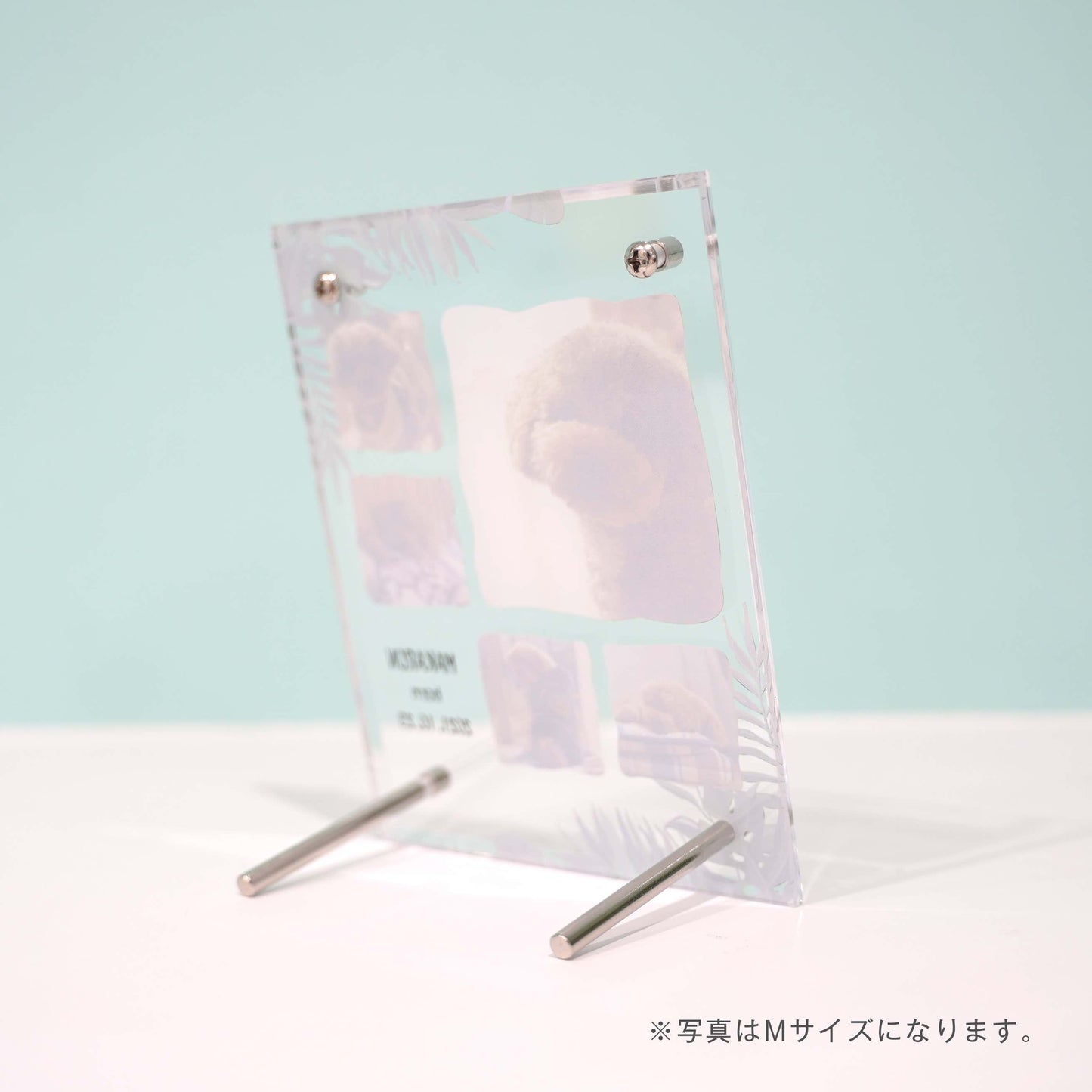 アクリルボード ペットフォト #B14