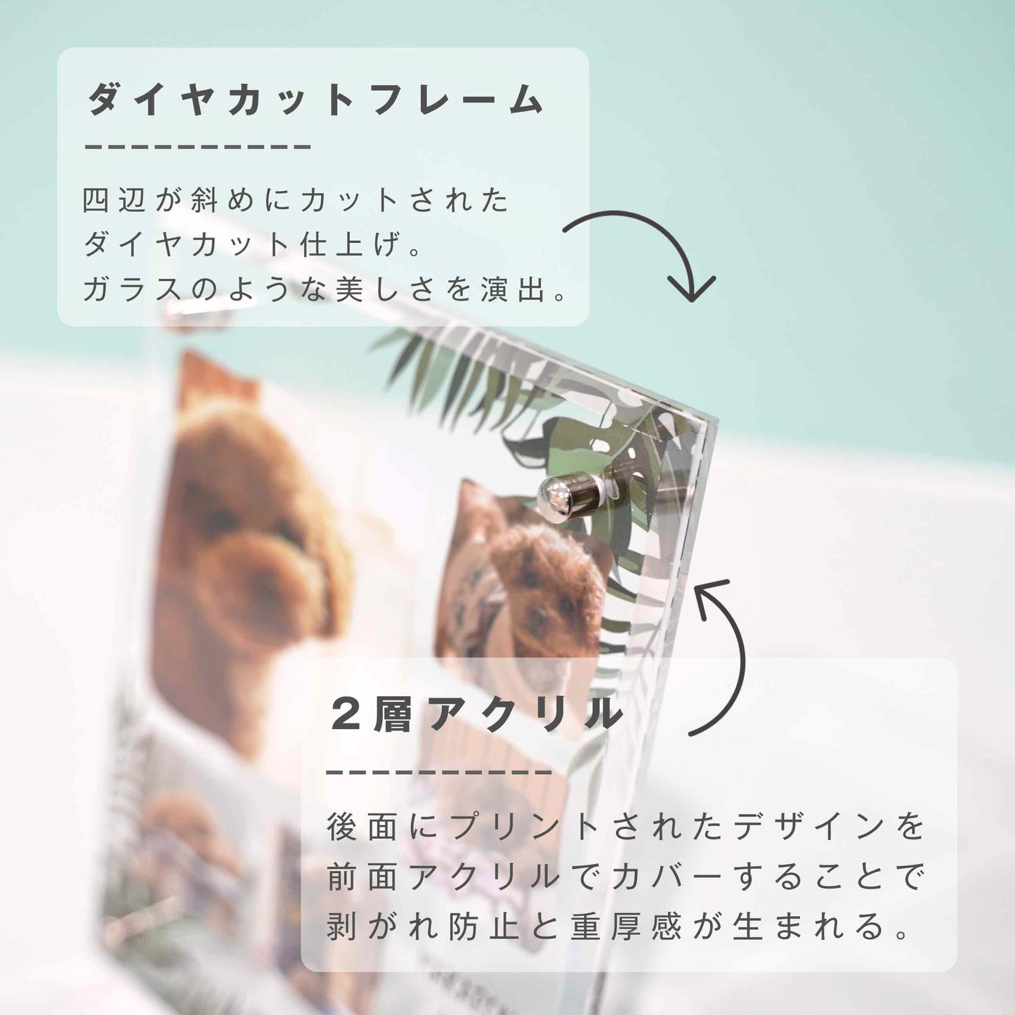 アクリルボード ペットフォト #B14