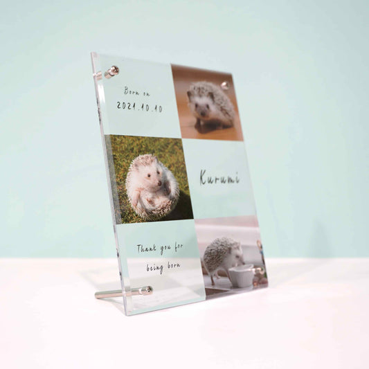 アクリルボード ペットフォト #B15