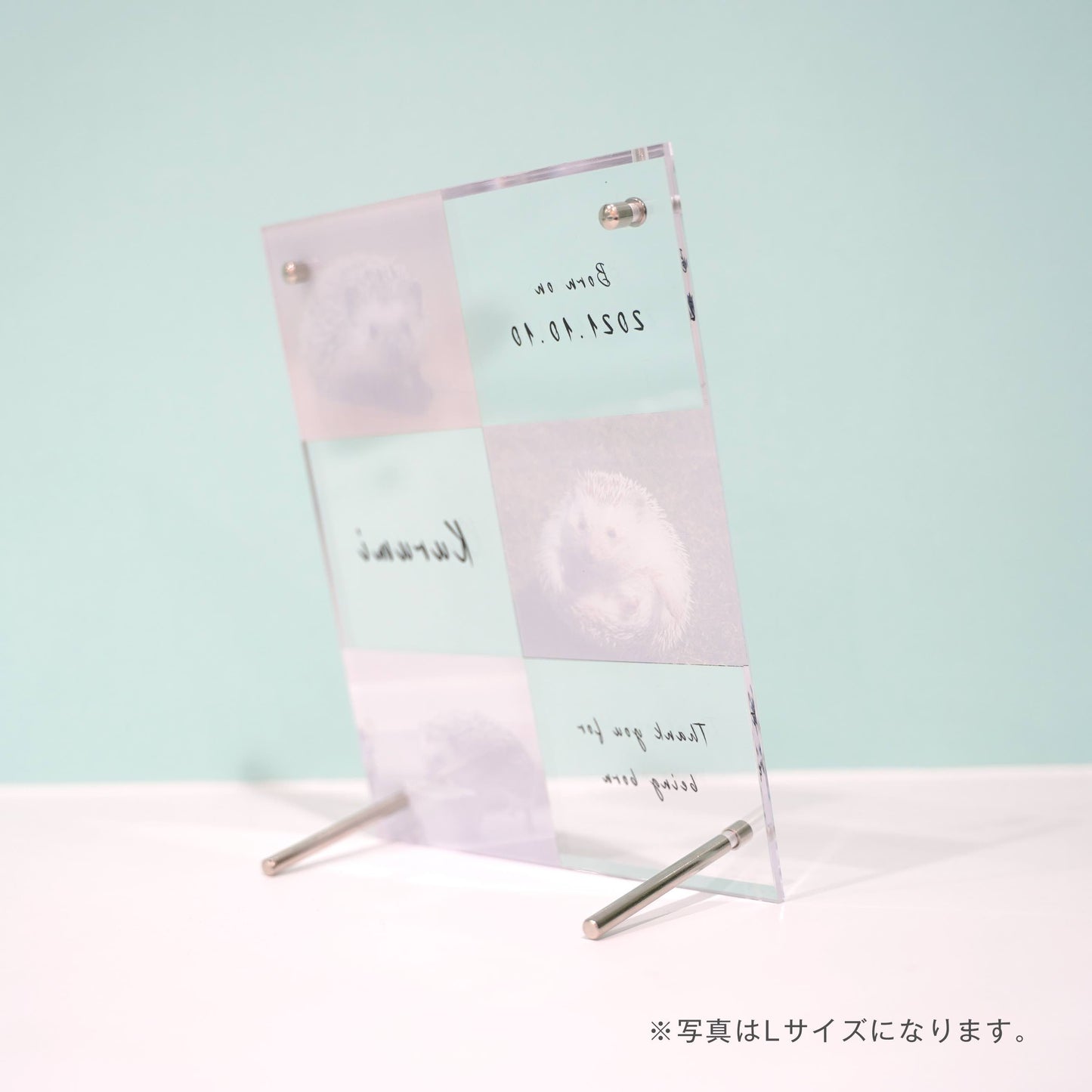 アクリルボード ペットフォト #B15