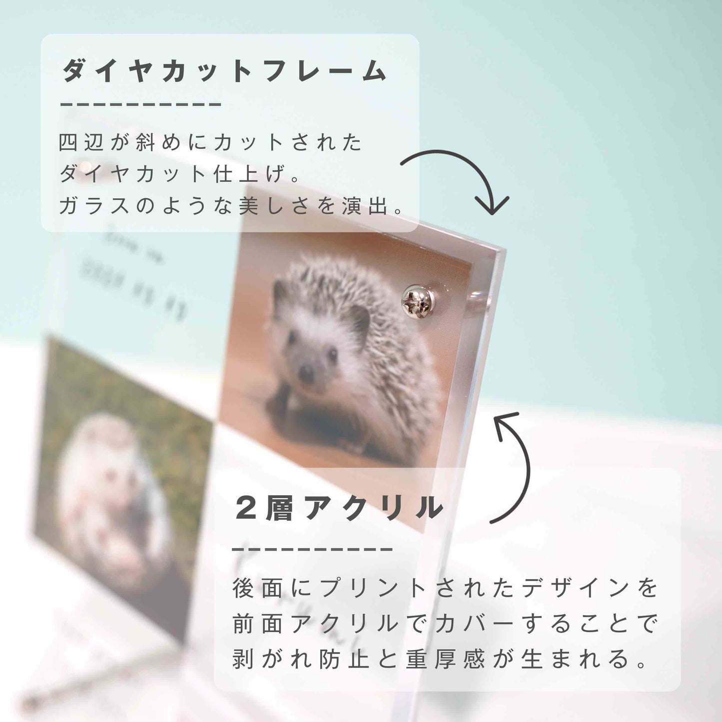アクリルボード ペットフォト #B15