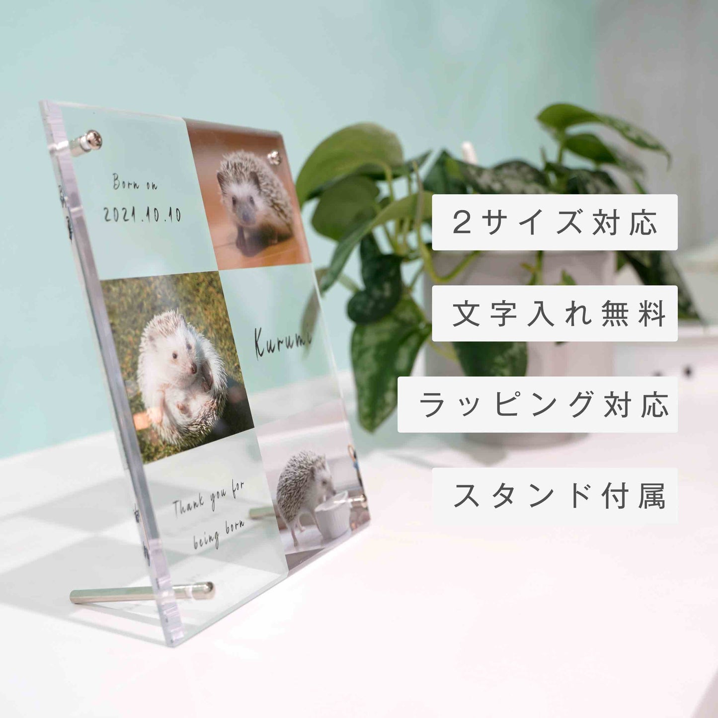 アクリルボード ペットフォト #B15