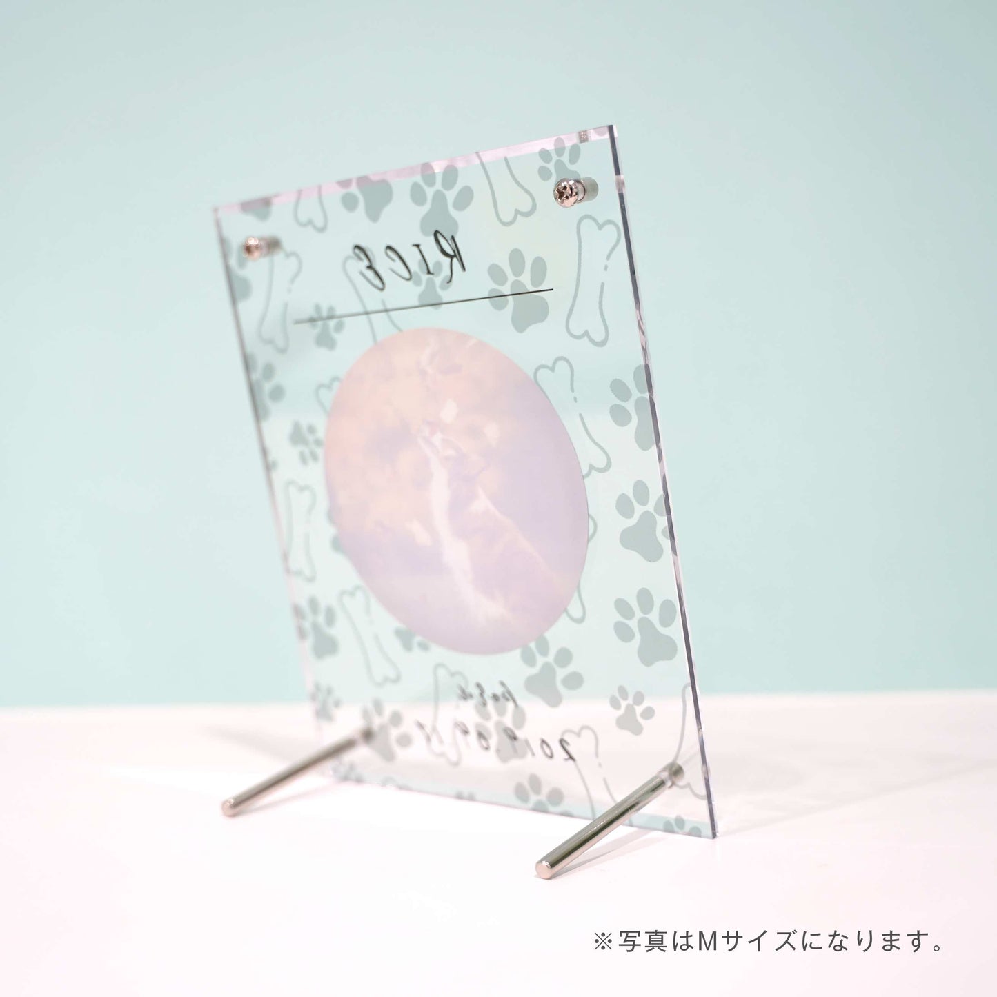 アクリルボード ペットフォト #B16