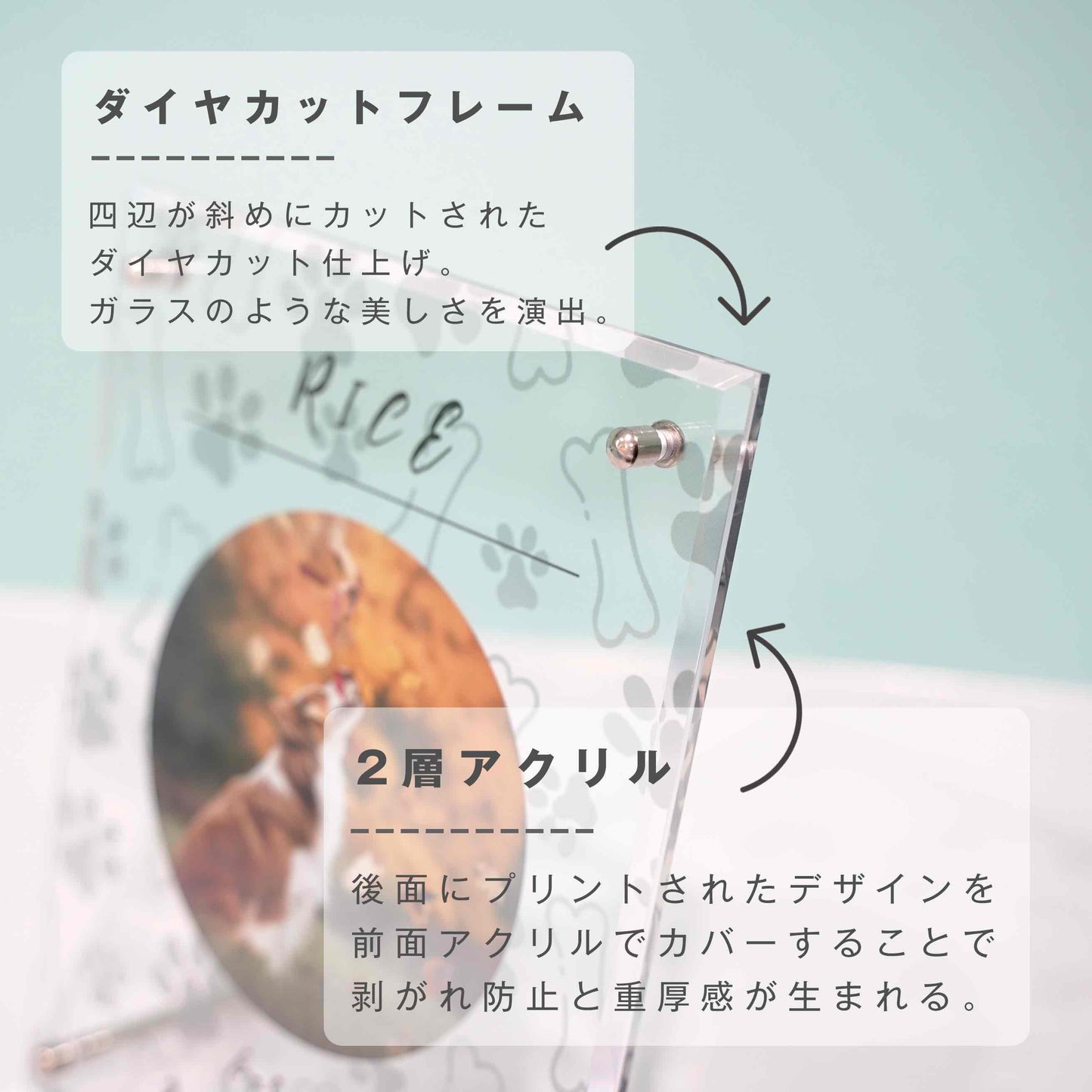 アクリルボード ペットフォト #B16