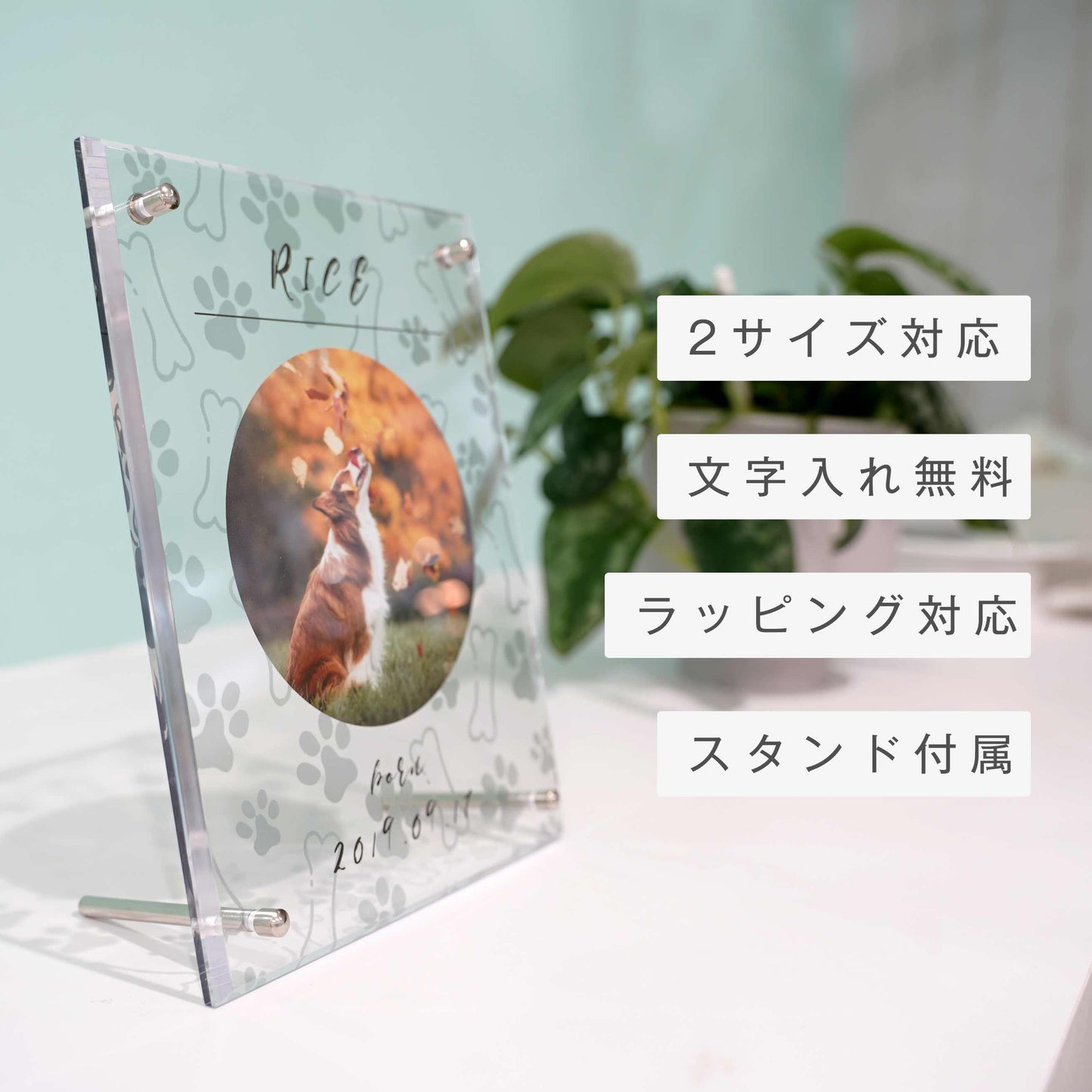 アクリルボード ペットフォト #B16