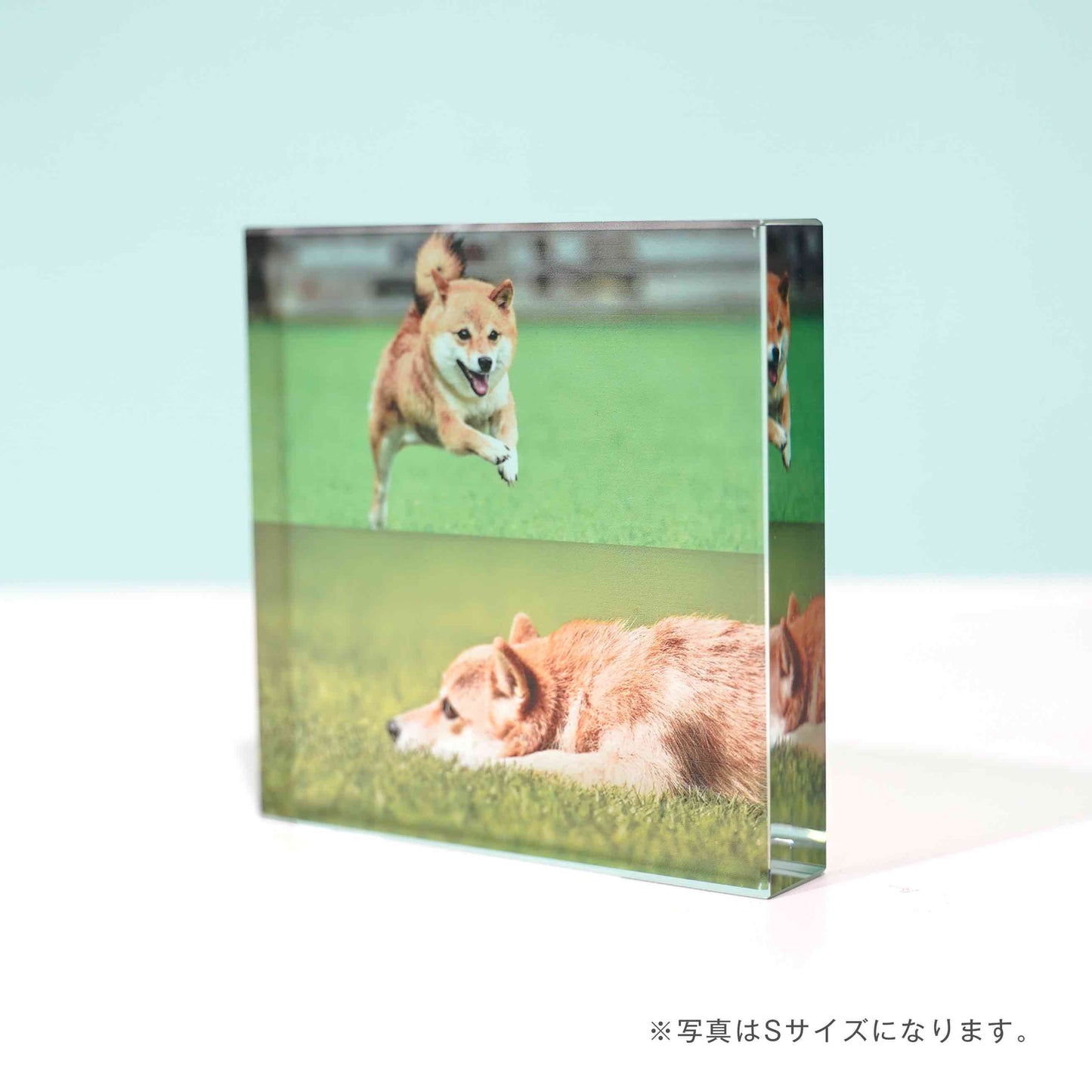 ガラスブロック #C02