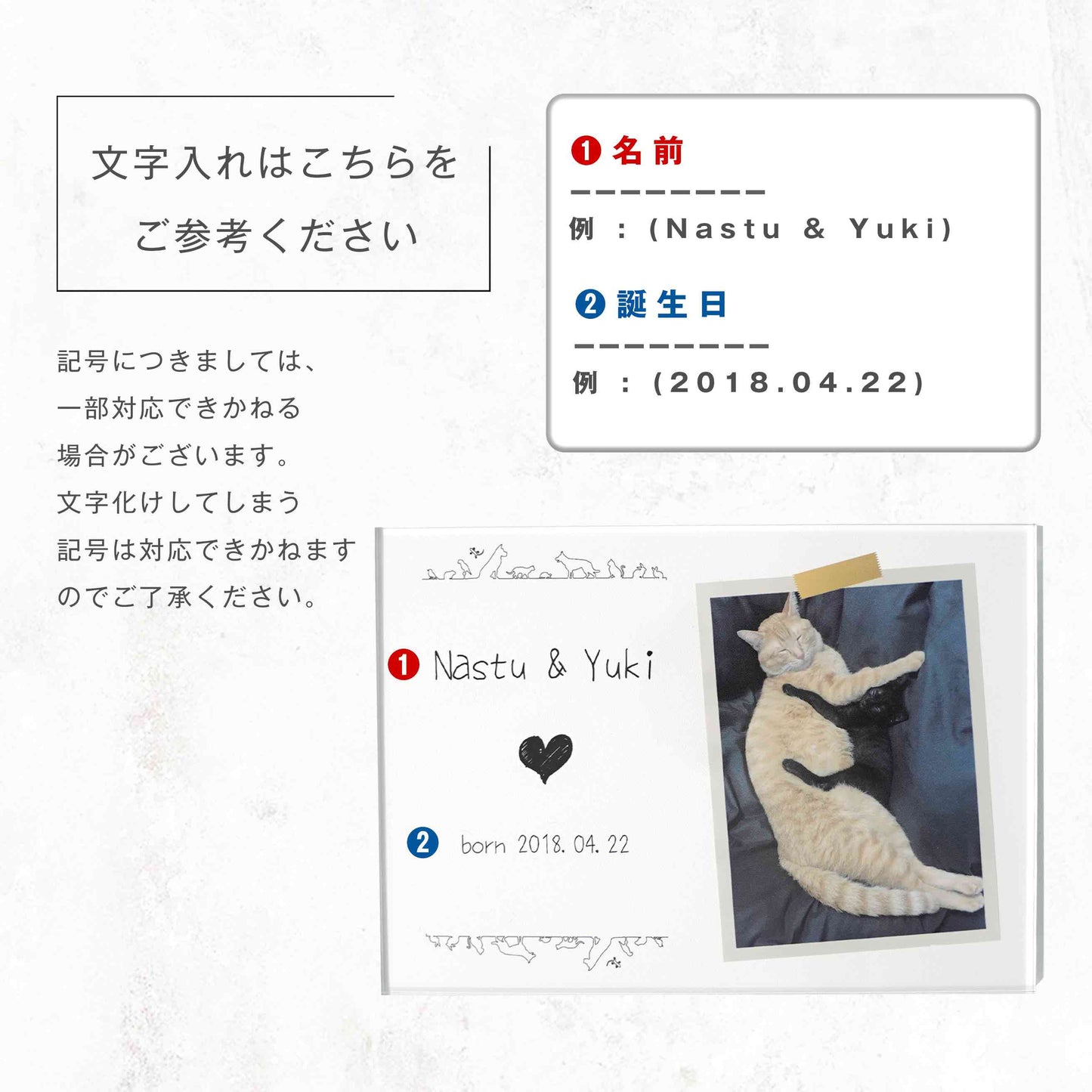 アクリルパネル ペットフォト #A12