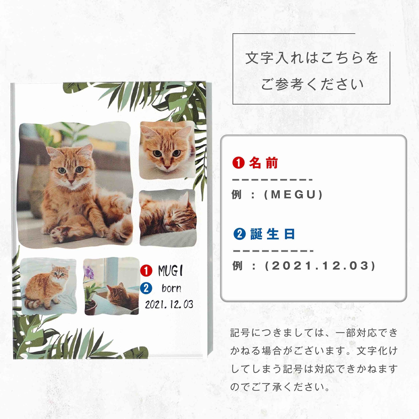 アクリルパネル ペットフォト #A14