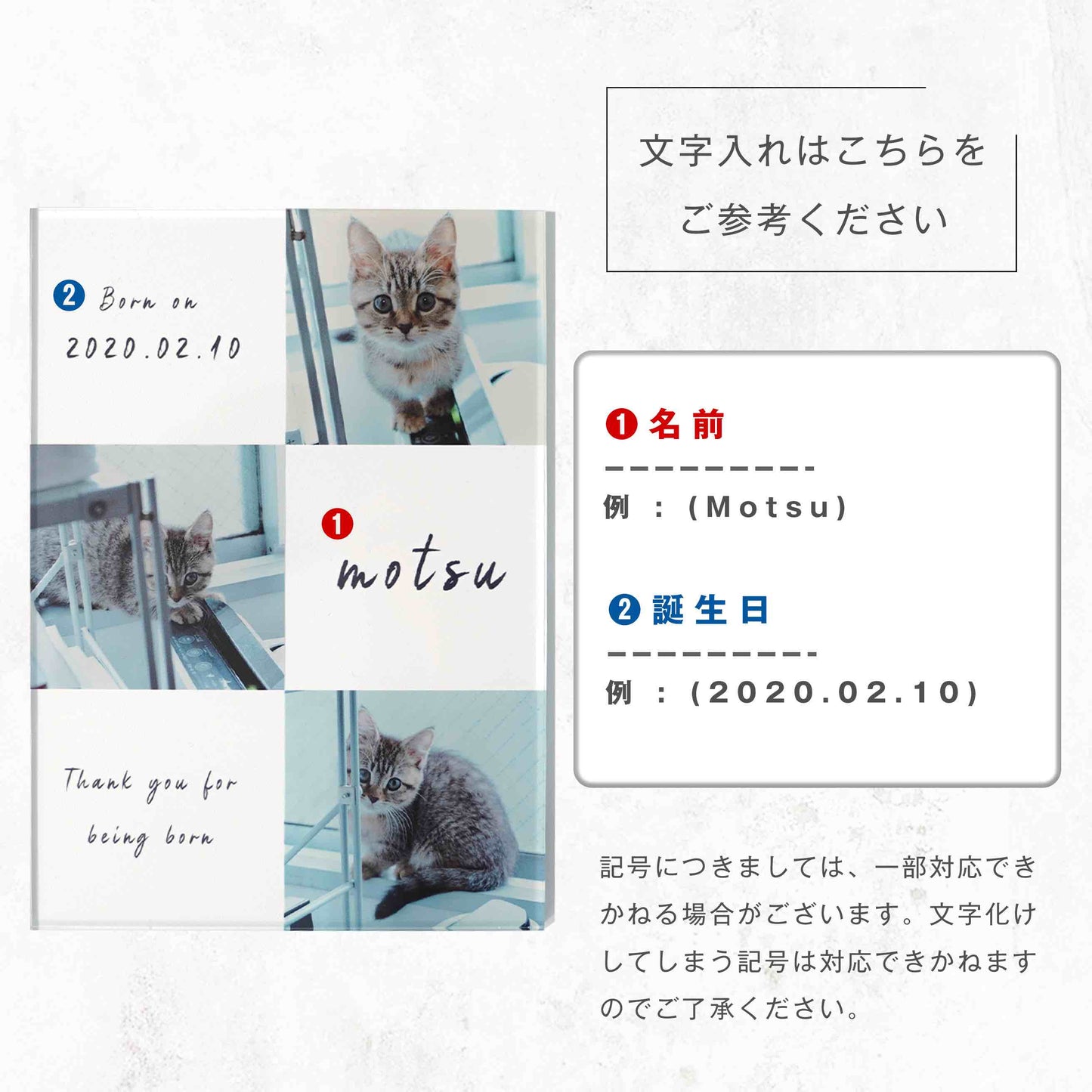 アクリルパネル ペットフォト #A15