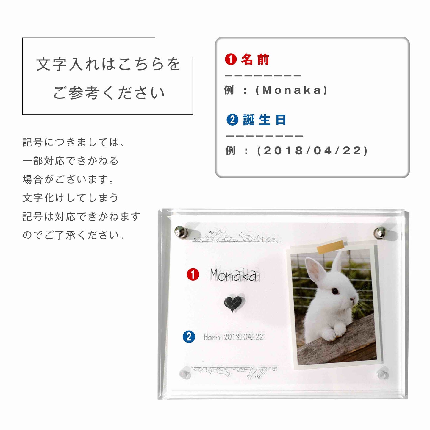 アクリルボード ペットフォト #B12