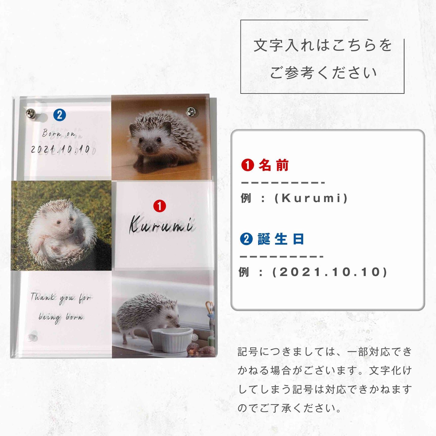 アクリルボード ペットフォト #B15