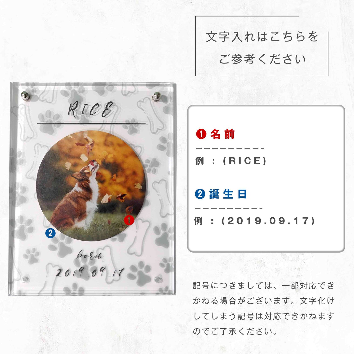 アクリルボード ペットフォト #B16