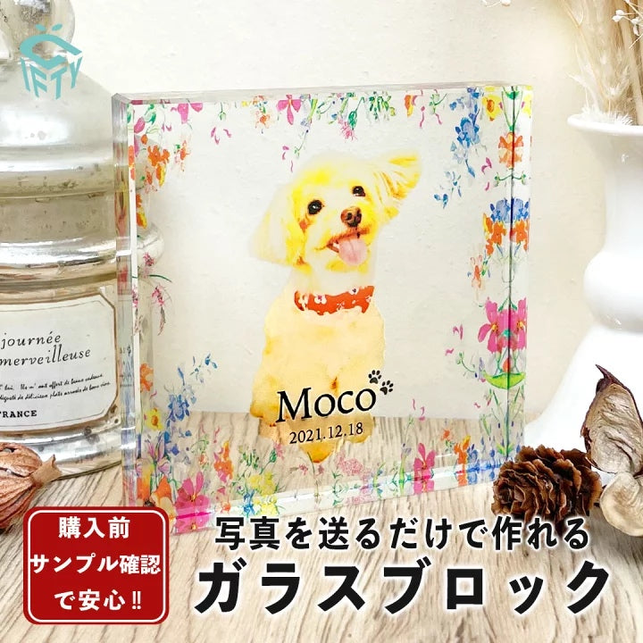 ガラスブロック #C09 Aデザイン