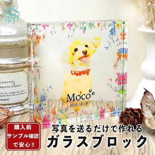 ガラスブロック #C09 Aデザイン