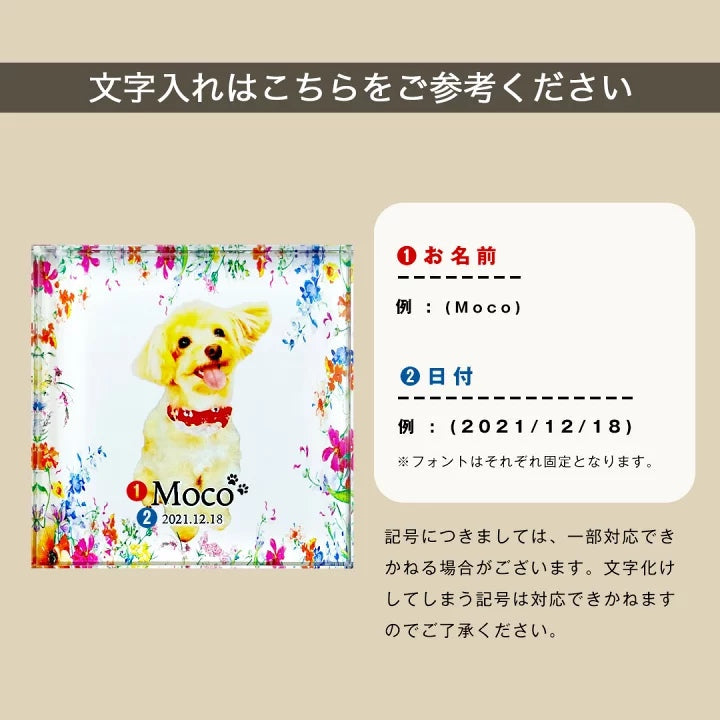ガラスブロック #C09 Cデザイン