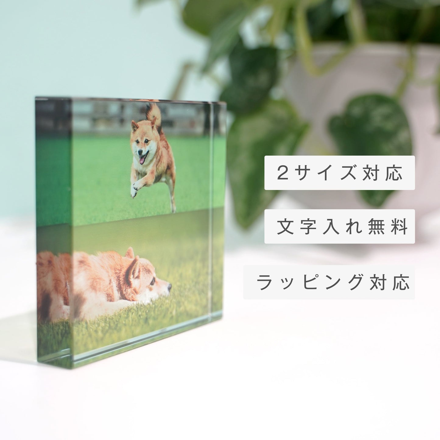ガラスブロック #C02