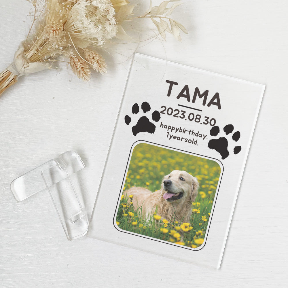 ペット　肉球デザイン　アクリルプレート　アクリルパネル　犬　猫　 #A50-2