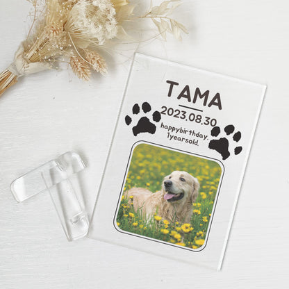 ペット　肉球デザイン　アクリルプレート　アクリルパネル　犬　猫　 #A50-2