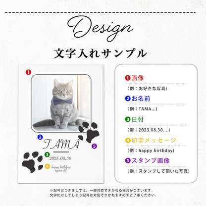 ペット　肉球デザイン　アクリルプレート　アクリルパネル　犬　猫　 #A50