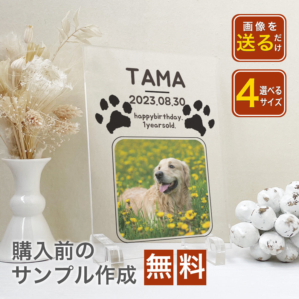 ペット　肉球デザイン　アクリルプレート　アクリルパネル　犬　猫　 #A50-2