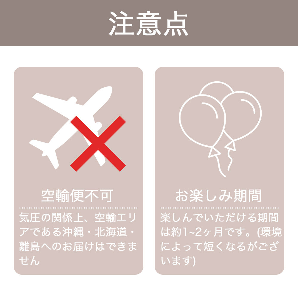 卒業式フラワーバルーンブーケ 【BA003】