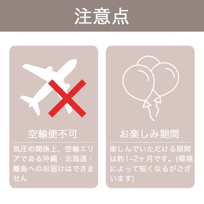 卒業式フラワーバルーンブーケ 【BA003】