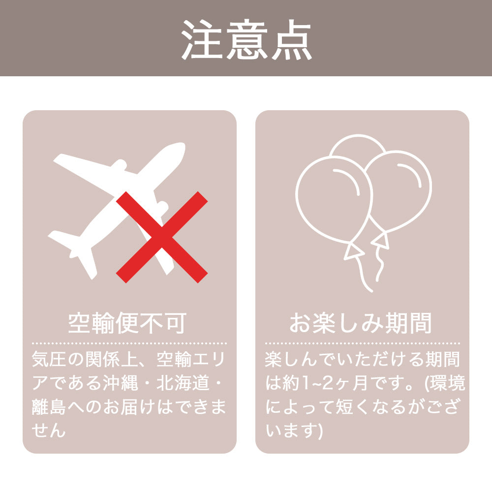 卒業バルーン #BA004