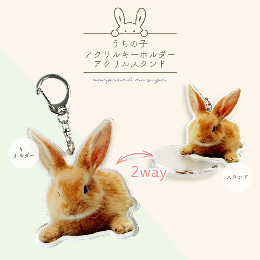 アクリルキーホルダー #P10-2