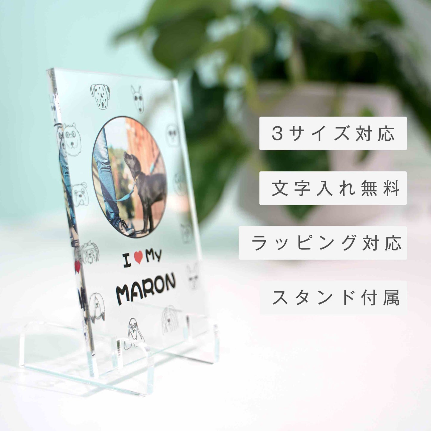 アクリルパネル ペットフォト #A13