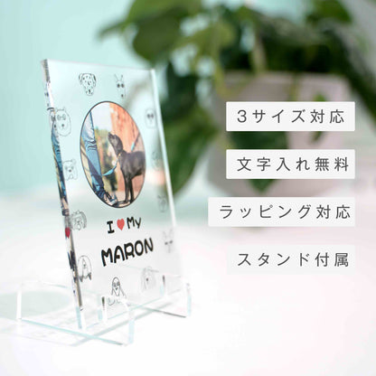 アクリルパネル ペットフォト #A13