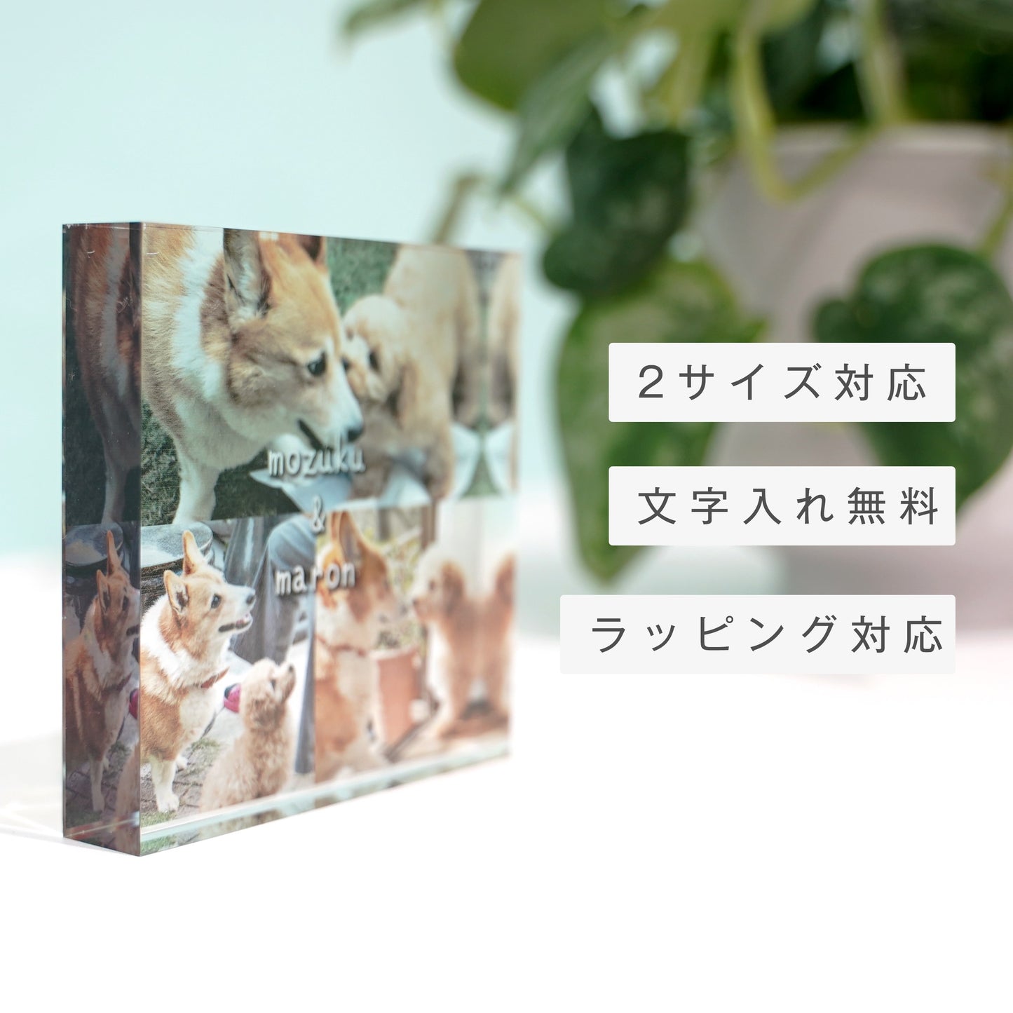 アクリルブロック #D03　